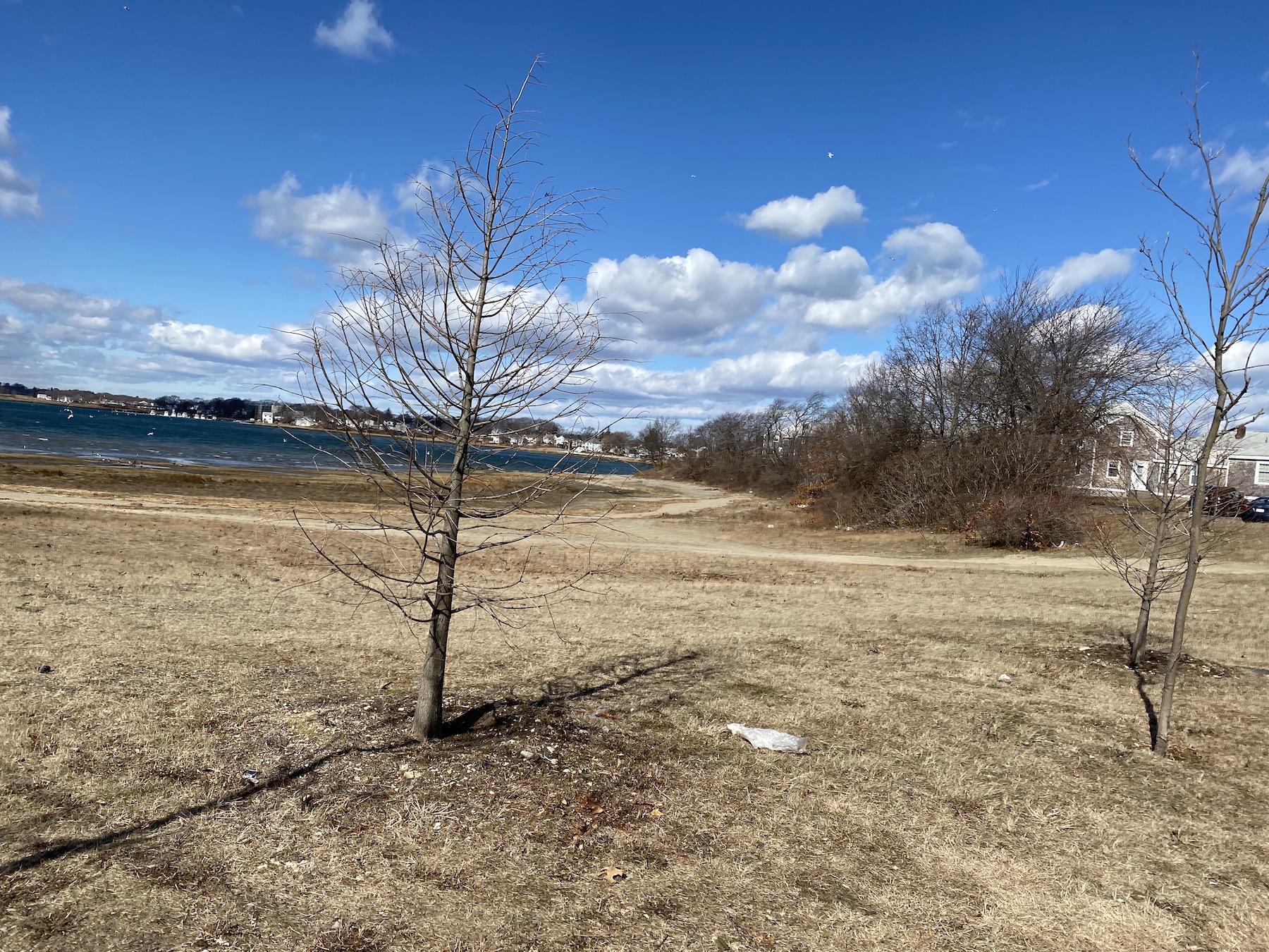 Our Gallery Quincy Housing Authority