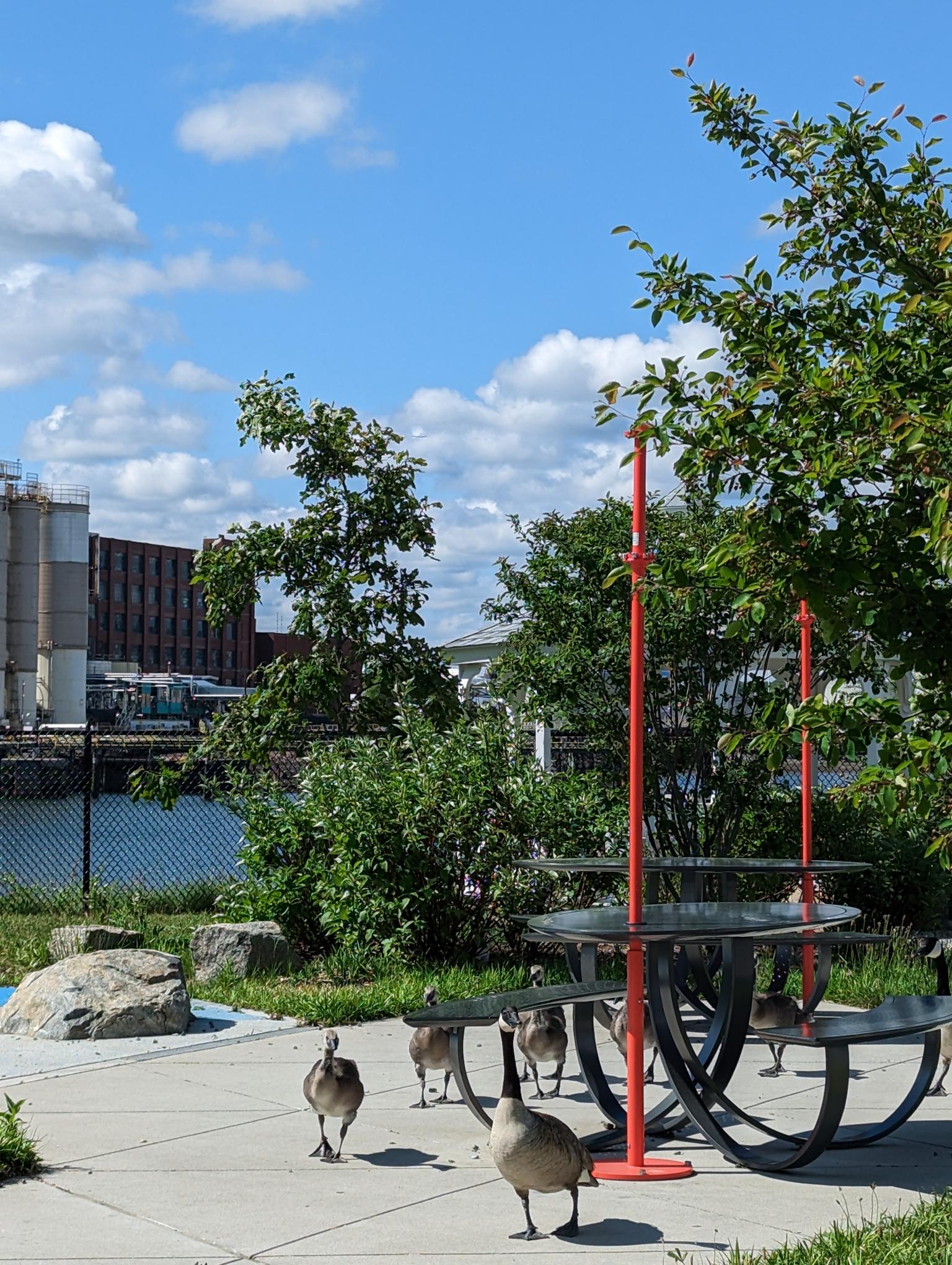 News Quincy Housing Authority